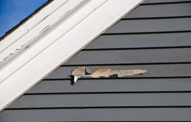 Best Siding Removal and Disposal  in Sonoma State University, CA