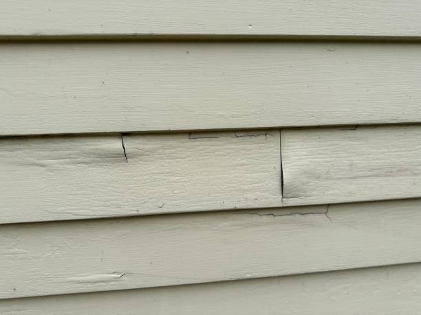 Best Custom Trim and Detailing for Siding  in Sonoma State University, CA